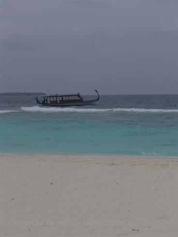 2004 Meedhupparu Malediven,_DSC03441 B_478